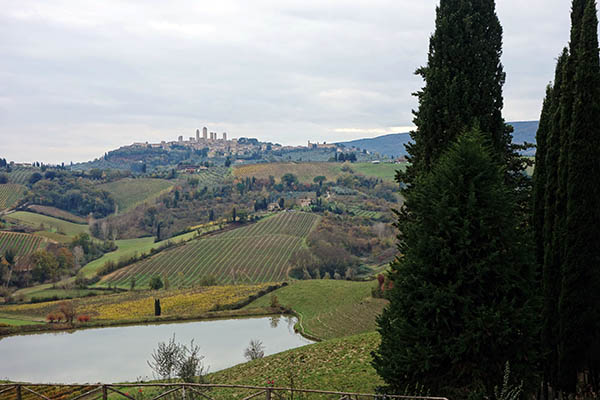 San Gimignano, from the winery