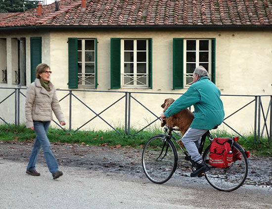 Dog on a bike, Lucca walls