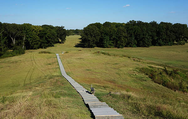 Stairs up the main 'bird mound' at Poverty Point