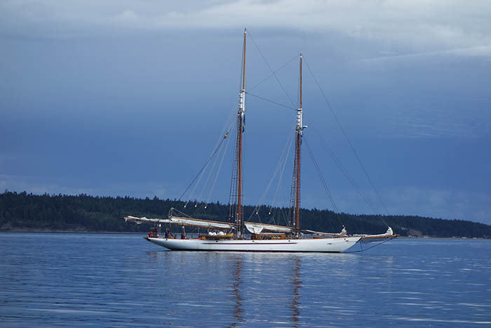 Sailboat motoring away from Port Townsend