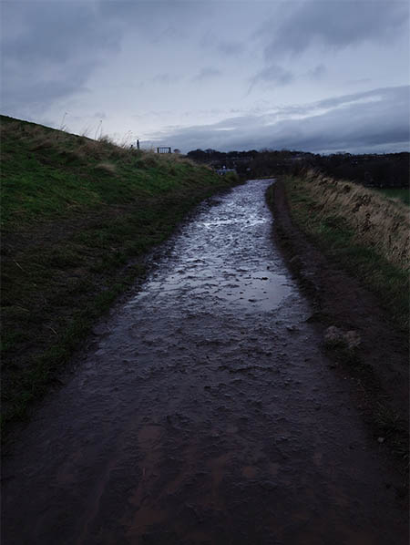 The trail near Arthur's Seat... pure mud